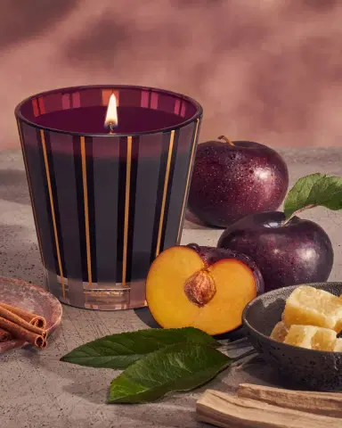 NEST New York 8.1 oz. Autumn Plum Classic Candle | Thumbnail 3