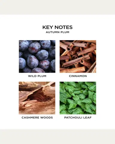 NEST New York 21.2 oz. Autumn Plum 3-Wick Candle | Thumbnail 5