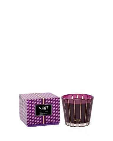 NEST New York 21.2 oz. Autumn Plum 3-Wick Candle | Thumbnail 1