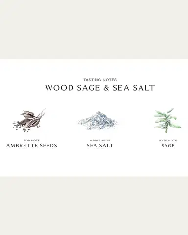 Jo Malone London 8.5 oz. Wood Sage & Sea Salt Body & Hand Wash | Thumbnail 3