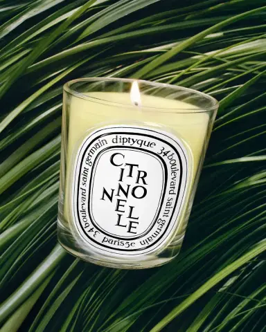 Diptyque Citronnelle Classic Candle, 6.5 oz. | Thumbnail 2
