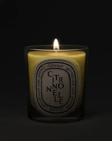 Diptyque Citronnelle Classic Candle, 6.5 oz. | Thumbnail 3