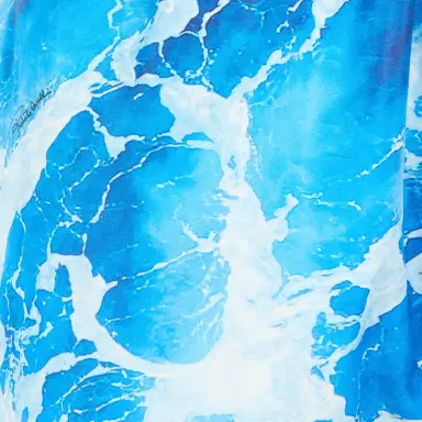 Roberto Cavalli Man Swimsuit | Thumbnail 4