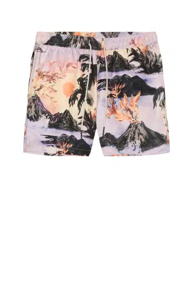 OAS Regalia Swim Shorts | Thumbnail 4