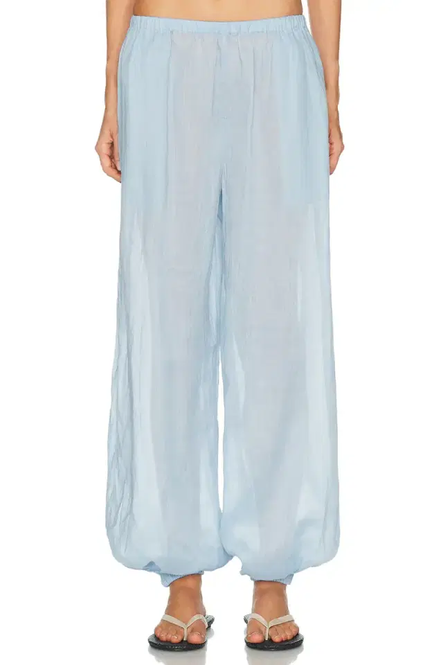 Darina Pant