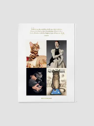 ASSOULINE "Chic Cats" Hardcover Book | Thumbnail 3 ASSOULINE "Chic Cats" Hardcover Book | Thumbnail 3