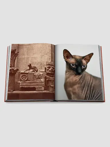 ASSOULINE "Chic Cats" Hardcover Book | Thumbnail 4 ASSOULINE "Chic Cats" Hardcover Book | Thumbnail 4