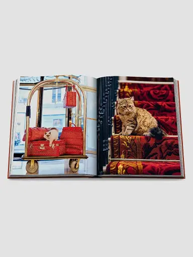 ASSOULINE "Chic Cats" Hardcover Book | Thumbnail 7 ASSOULINE "Chic Cats" Hardcover Book | Thumbnail 7