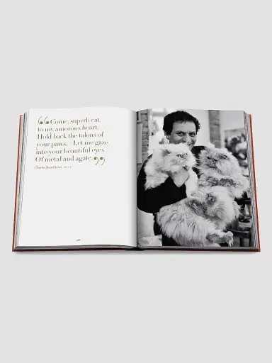 ASSOULINE "Chic Cats" Hardcover Book | Thumbnail 9 ASSOULINE "Chic Cats" Hardcover Book | Thumbnail 9
