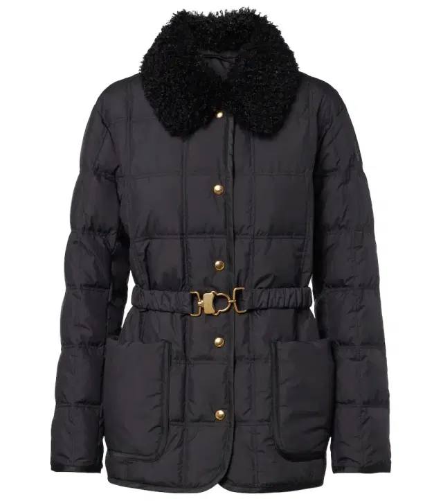 Moncler Cygnes down jacket