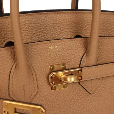 HERMÈS Hermes Birkin 25 Chai Togo Gold Hardware | Thumbnail 7 HERMÈS Hermes Birkin 25 Chai Togo Gold Hardware | Thumbnail 7