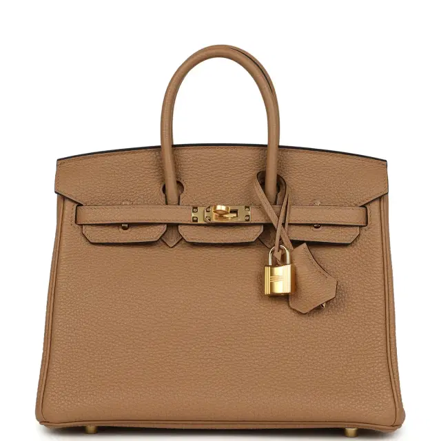 hermes Hermes Birkin 25 Chai Togo Gold Hardware