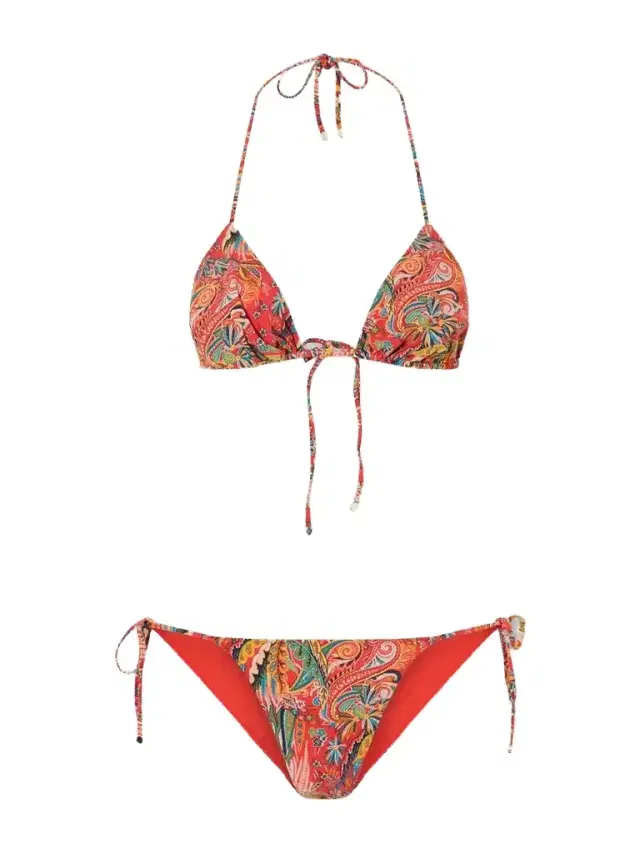 Etro Paisley-print Triangle Bikini