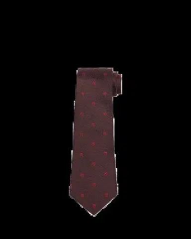 Alexander McQueen Men's Skull & Polka Dot Tie | Thumbnail 2