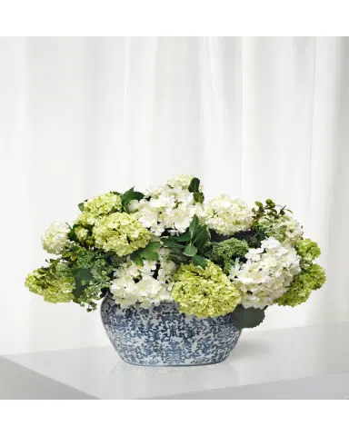 Winward Home Hydrangea in Oval Planter | Thumbnail 2
