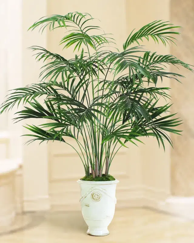 Winward Home Small Kentia Palm Tree in Urn