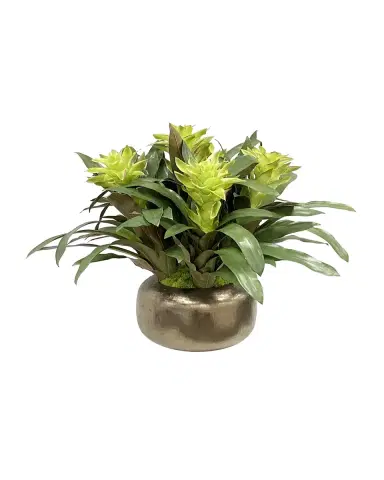 Winward Home Bromeliad Floral Arrangement in Artisanal Pot | Thumbnail 2 Winward Home Bromeliad Floral Arrangement in Artisanal Pot | Thumbnail 2