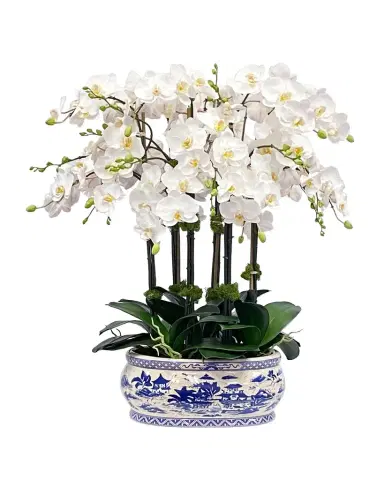 Winward Home Orchid Faux Floral Arrangement in Oval Planter | Thumbnail 1 Winward Home Orchid Faux Floral Arrangement in Oval Planter | Thumbnail 1