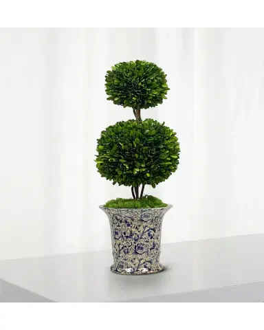 Winward Home Preserved Double Ball Topiary In Porcelain Vase - 25.5" | Thumbnail 2 Winward Home Preserved Double Ball Topiary In Porcelain Vase - 25.5" | Thumbnail 2
