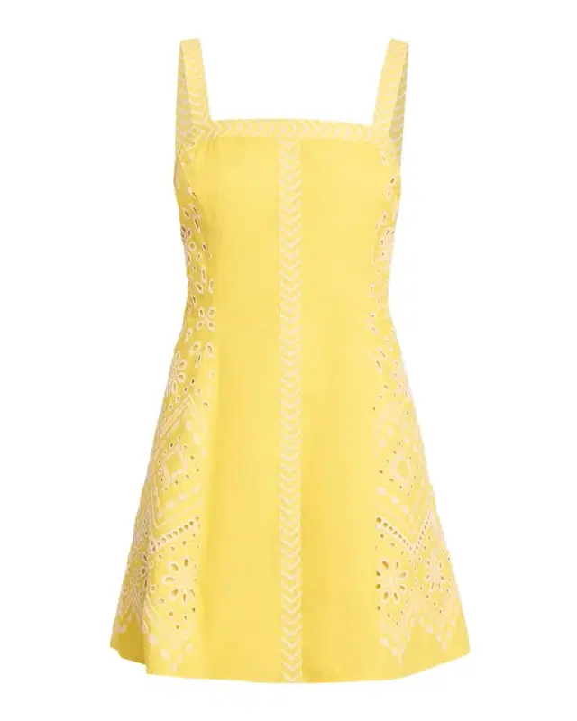Ramy Brook Fawn Embroidered Mini Dress