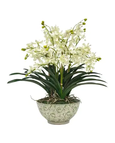 Winward Home Vanda Orchids 23" Faux Plant in Porcelain Bowl | Thumbnail 1 Winward Home Vanda Orchids 23" Faux Plant in Porcelain Bowl | Thumbnail 1