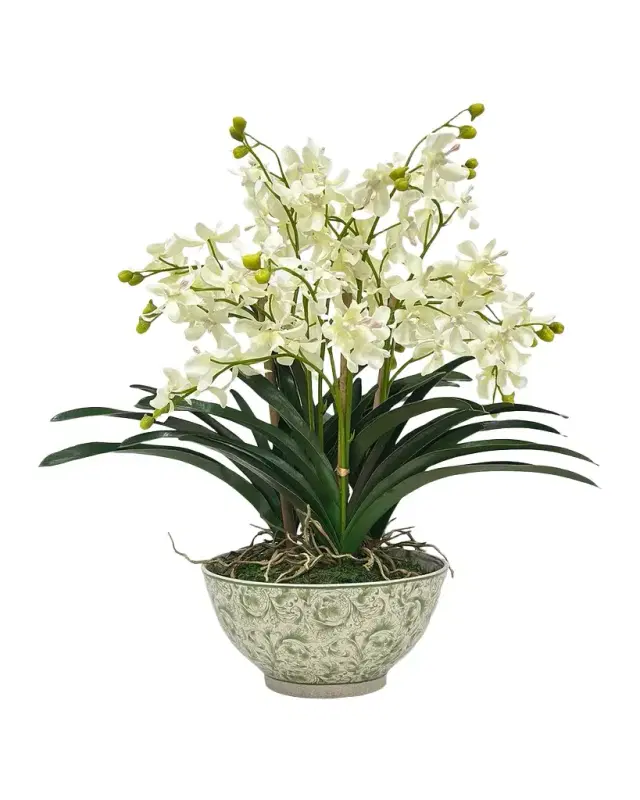 Winward Home Vanda Orchids 23" Faux Plant in Porcelain Bowl