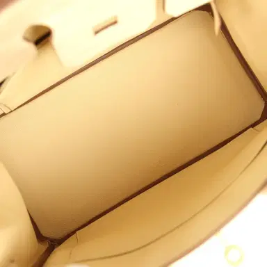 HERMÈS Hermes Birkin 25 Vanille Matte Alligator Gold Hardware | Thumbnail 8