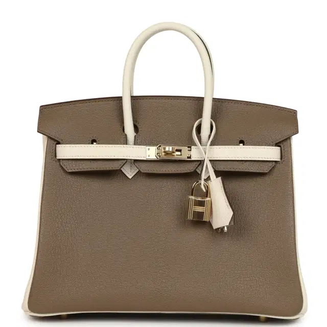 hermes Hermes Special Order (HSS) Birkin 25 Etoupe and Nata Chevre Mysore Permabrass Hardware
