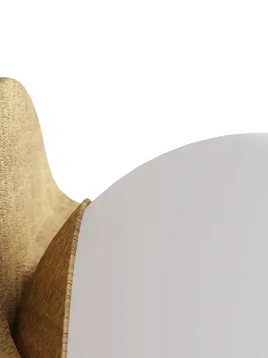 Arteriors Thurlow Sconce - Gold | Thumbnail 5 Arteriors Thurlow Sconce - Gold | Thumbnail 5