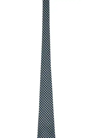 Polo Ralph Lauren Micro Gingham Vintage Neck Tie | Thumbnail 2
