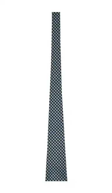Polo Ralph Lauren Micro Gingham Vintage Neck Tie | Thumbnail 5