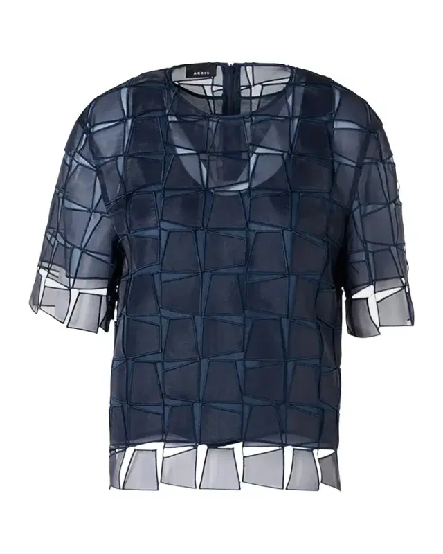 Trapezoid Embroidered Organza Blouse