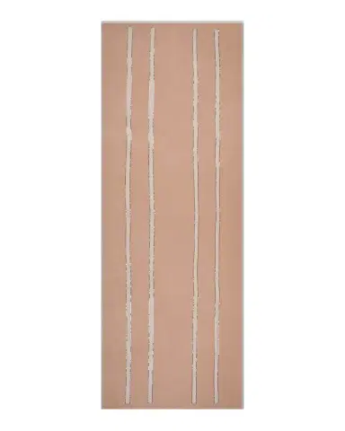 JANAVI INDIA Sheer Cashmere Sequin-Panel Scarf | Thumbnail 2