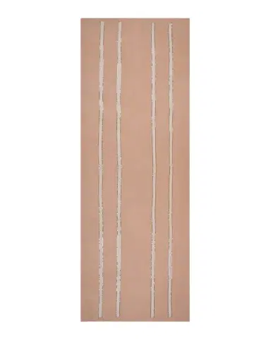 JANAVI INDIA Sheer Cashmere Sequin-Panel Scarf | Thumbnail 1