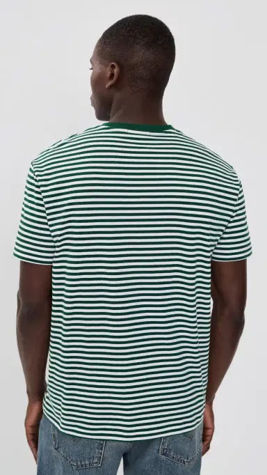 Polo Ralph Lauren Classic Fit Striped Crewneck Tee New Forest/White | Thumbnail 3