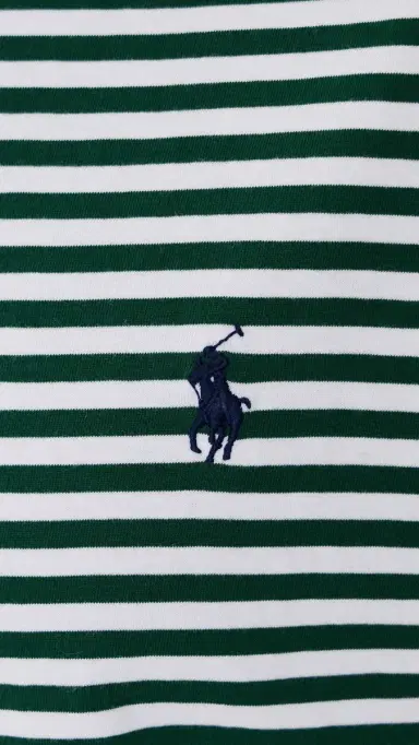 Polo Ralph Lauren Classic Fit Striped Crewneck Tee New Forest/White | Thumbnail 6