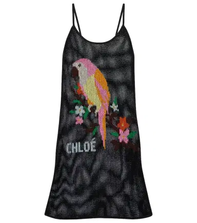 Chloé Chloé Embroidered cotton minidress | Thumbnail 1