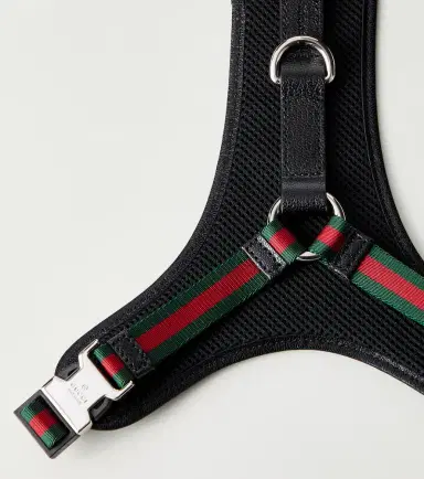 Gucci S/M GG canvas dog harness | Thumbnail 2