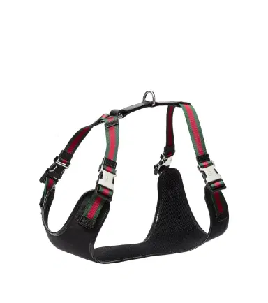 Gucci S/M GG canvas dog harness | Thumbnail 1