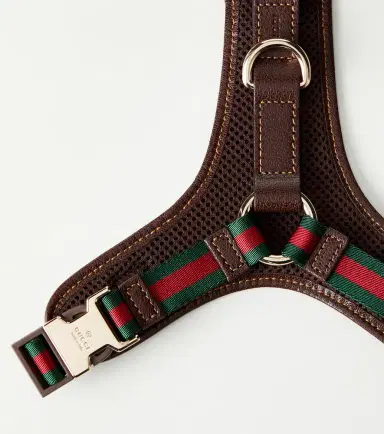 Gucci S/M GG canvas dog harness | Thumbnail 2 Gucci S/M GG canvas dog harness | Thumbnail 2