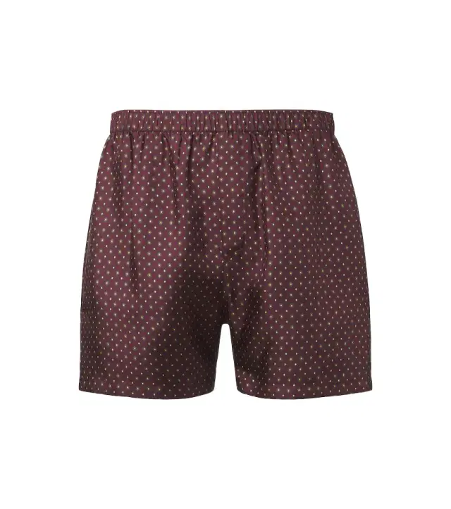 Saint Laurent Printed silk shorts