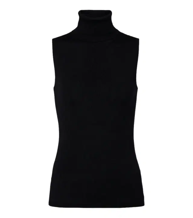 Ribbed-knit virgin wool turtleneck top