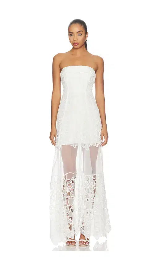 Rennis Bustier Gown