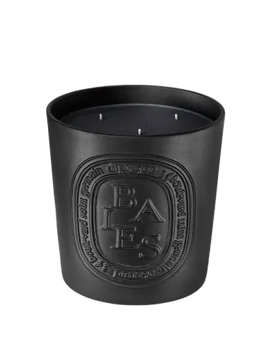 Diptyque Baies (Berries) Scented Candle | Thumbnail 1