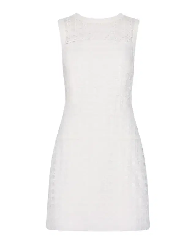 Moira Sleeveless Lace Mini Dress