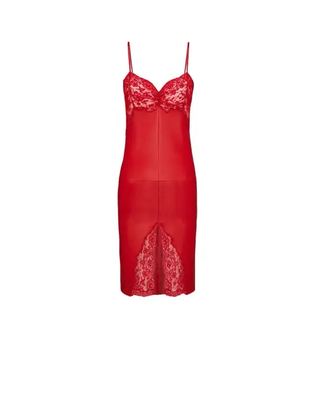 Yves Saint Laurent Dress in Lambskin and Lace