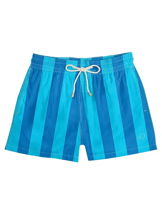 Men's Beach House Striped Drawstring Regular-Fit Swim Shorts