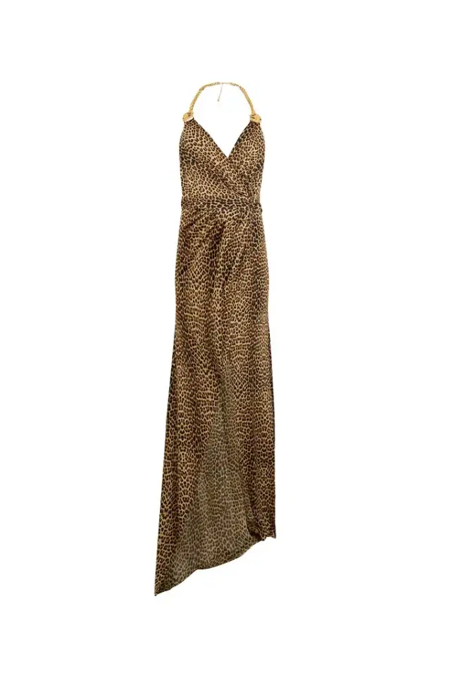 Roberto Cavalli Maxi Dress in Leopard Print