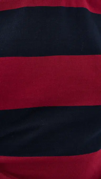 LIONESS In Transit Tee Burgundy Stripe | Thumbnail 6