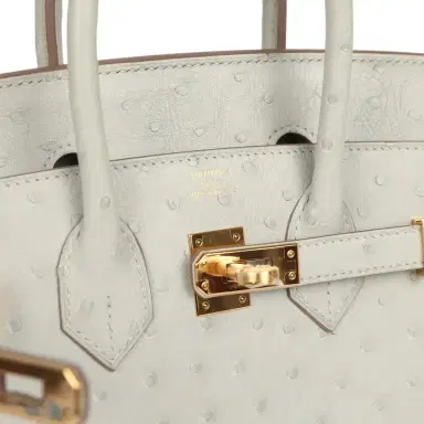 HERMÈS Hermes Birkin 25 Gris Perle Ostrich Gold Hardware | Thumbnail 7 HERMÈS Hermes Birkin 25 Gris Perle Ostrich Gold Hardware | Thumbnail 7